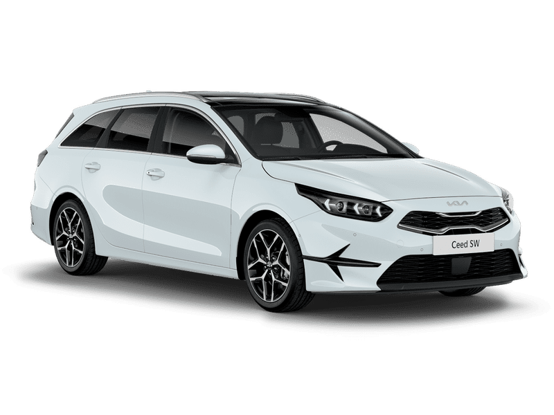 Cassa White